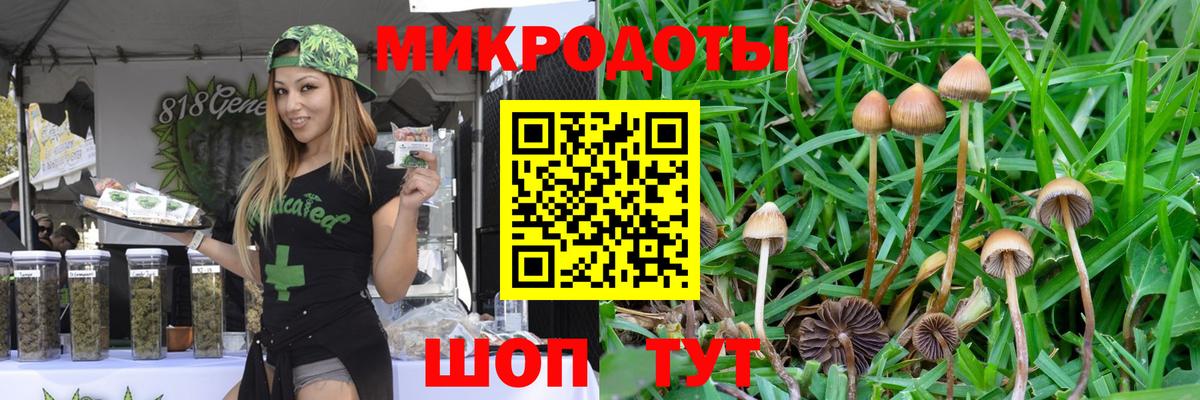 Владикавказ  купить  сайты  Вход с VPN  Галлюциногенные грибы Psilocybe 